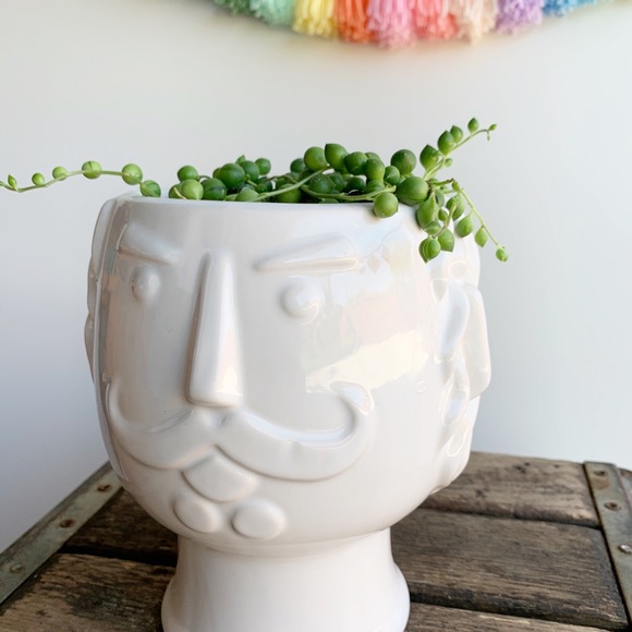 Mustache Gentleman Man Bust Planter Pot White - Picture 3 of 7